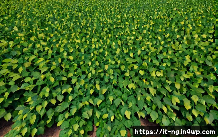 Dieta vegetale e ambiente: quali scelte incidono davvero sulla spesa quotidiana 4 식물 기반 식단이 환경에 미치는 영향 관련 이미지 2
